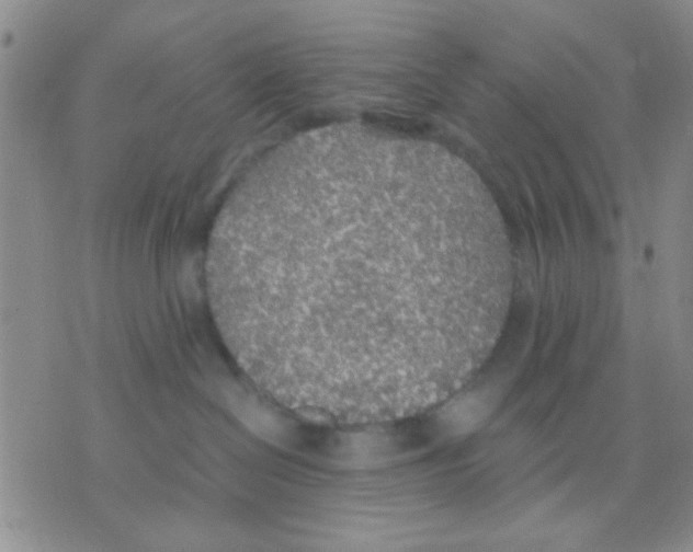 X0000075920286200610151914