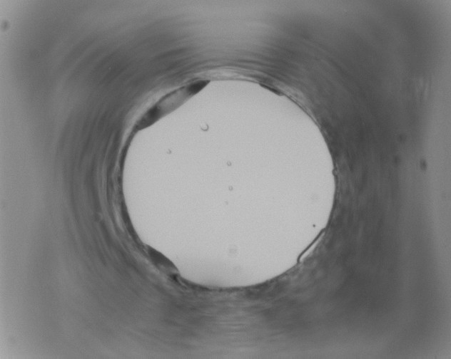 X0000075920289200610151913