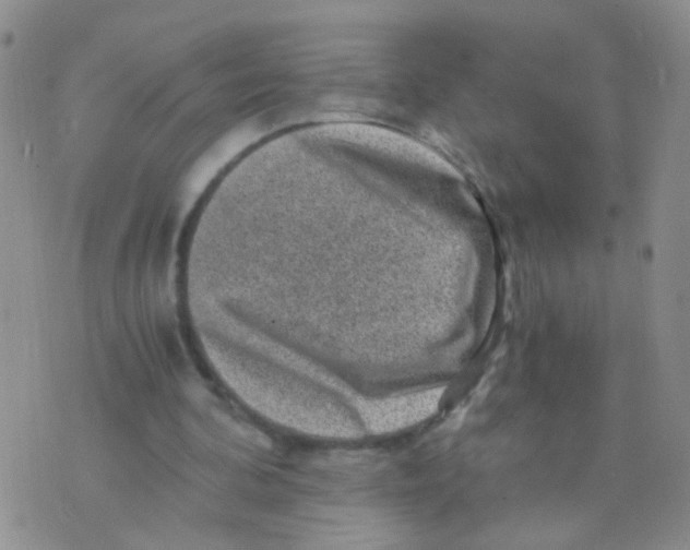 X0000075920292200610151913