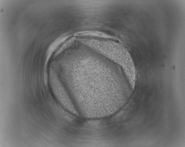 X0000075920294200610151913