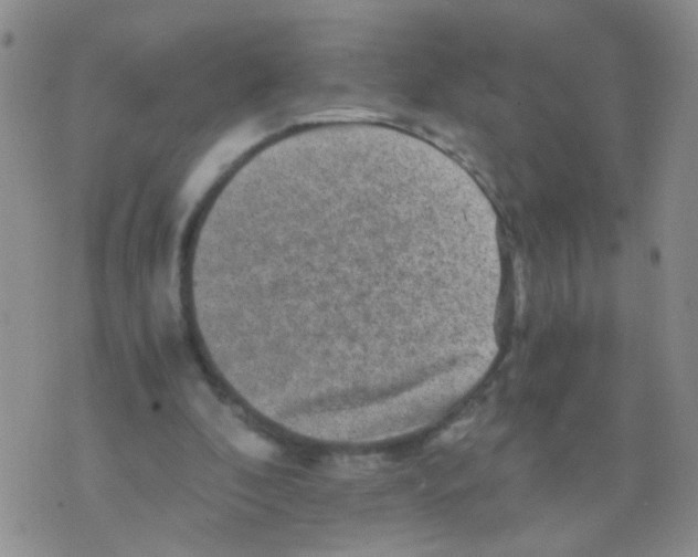 X0000075920296200610151913