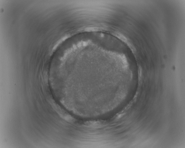 X0000075920297200610151913