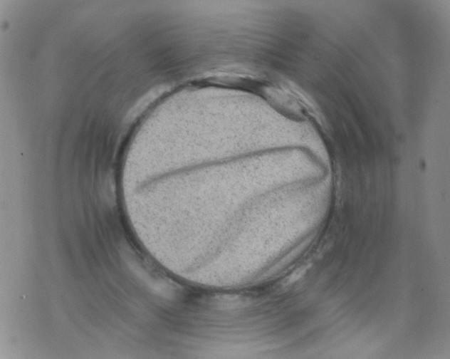 X0000075920298200610151913