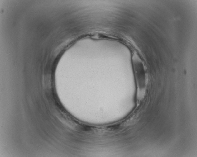 X0000075920299200610151913