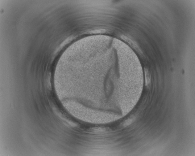 X0000075920300200610151913