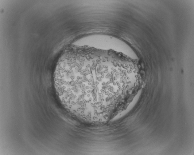 X0000075920303200610151913