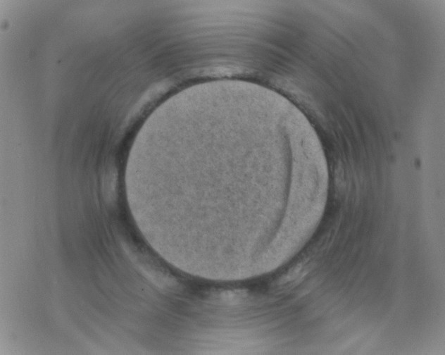 X0000075920304200610151913