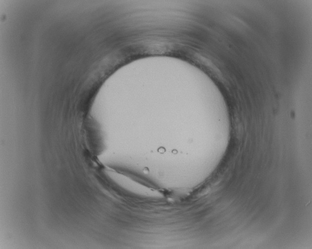 X0000075920307200610151913