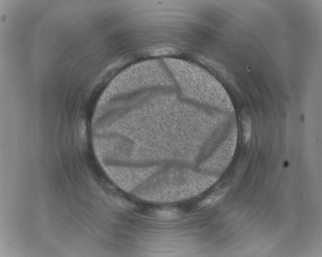 X0000075920308200610151913