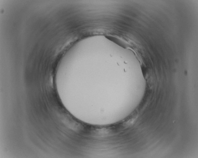 X0000075920310200610151913