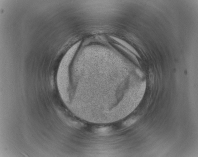 X0000075920312200610151913