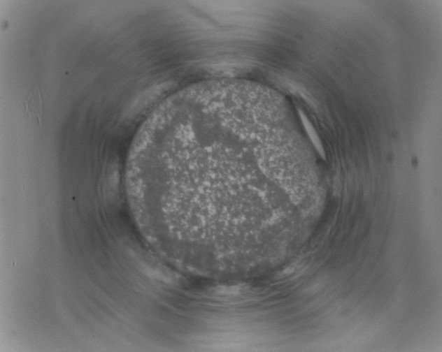 X0000075920314200610151913