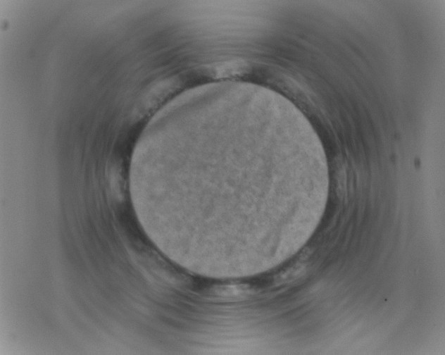 X0000075920316200610151913