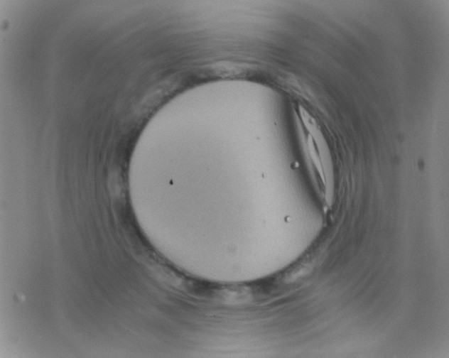 X0000075920317200610151913