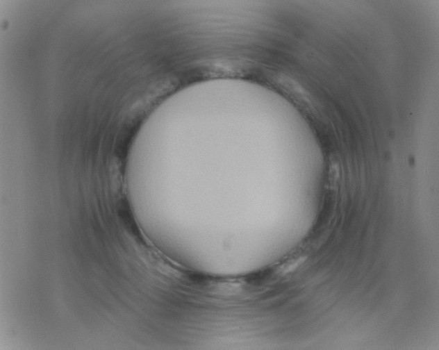 X0000075920318200610151913