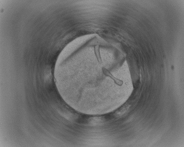 X0000075920320200610151913