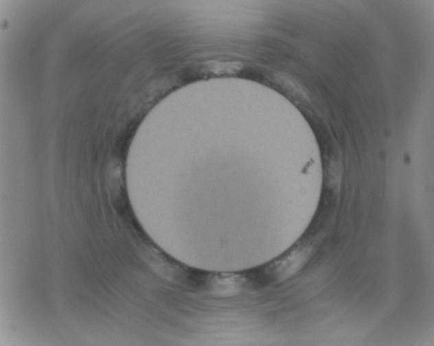 X0000075920321200610151913