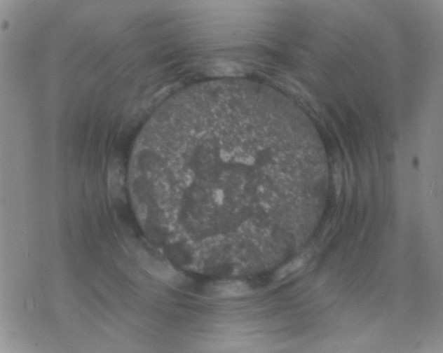 X0000075920322200610151913