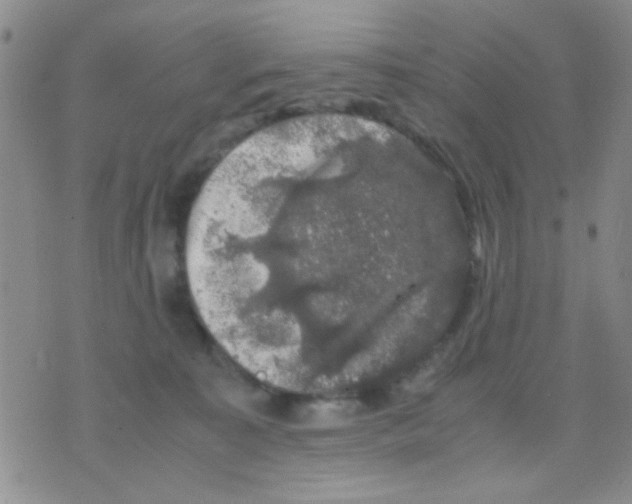 X0000075920323200610151913