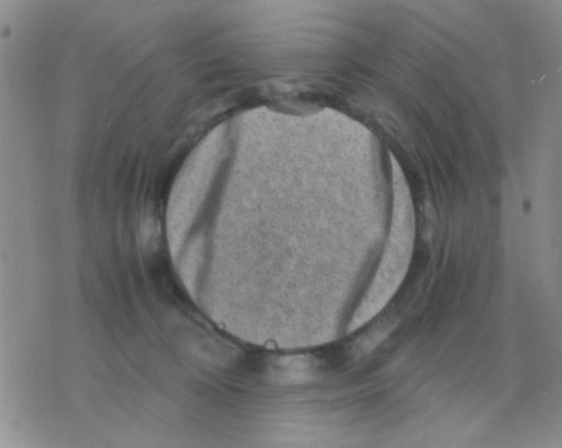 X0000075920324200610151913