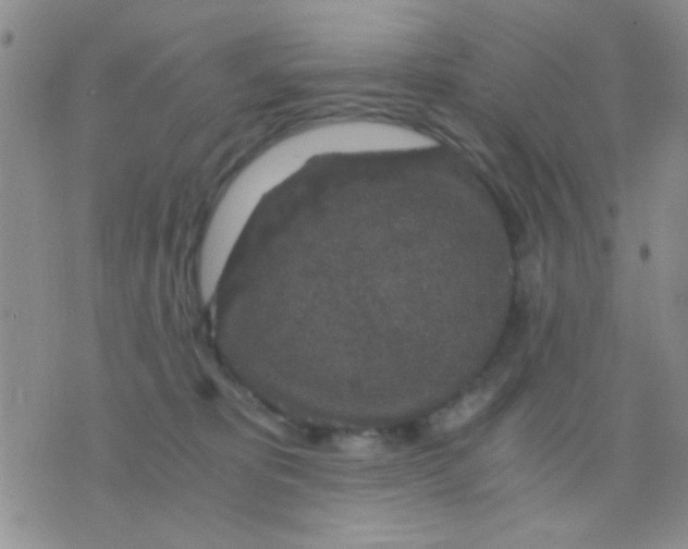 X0000075920325200610151913