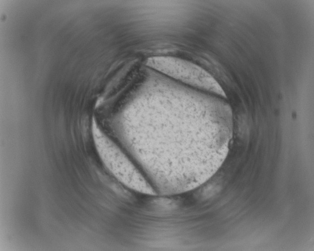 X0000075920326200610151913