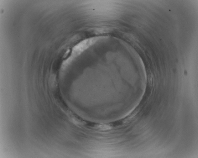 X0000075920327200610151913