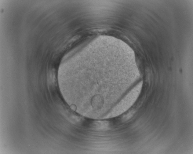 X0000075920328200610151913