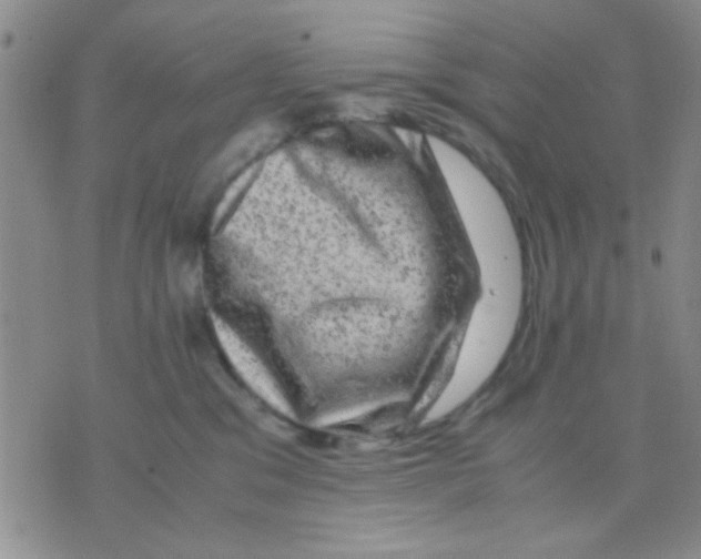 X0000075920329200610151913