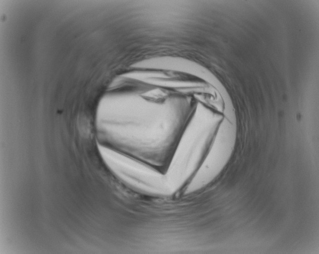 X0000075920331200610151913