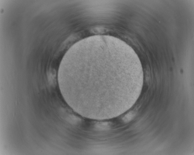 X0000075920332200610151912