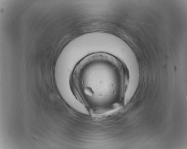 X0000075920333200610151912