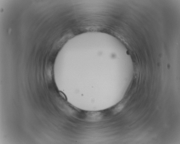 X0000075920334200610151912