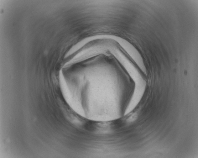 X0000075920335200610151912