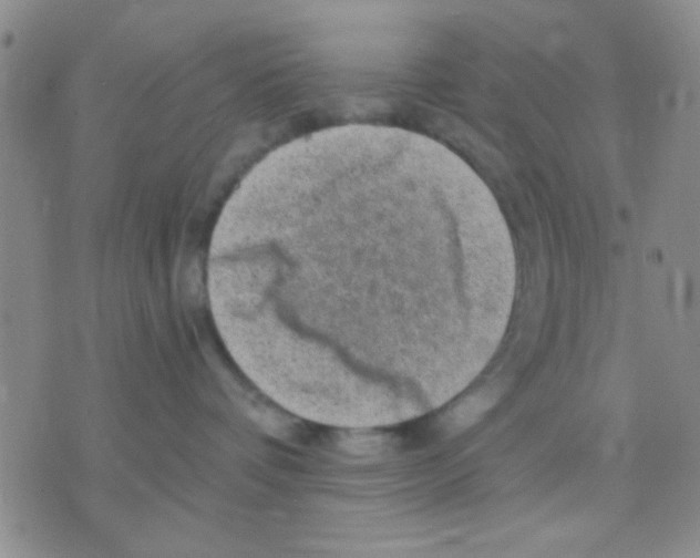 X0000075920336200610151912