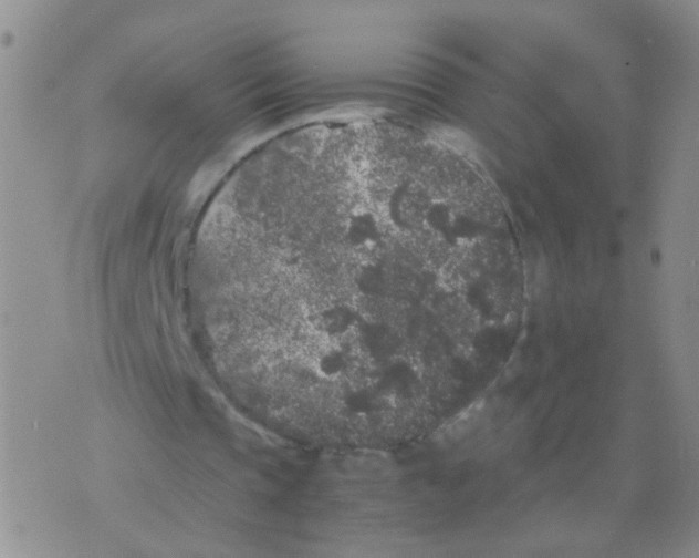 X0000075920337200610151912