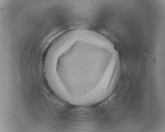 X0000075920338200610151912