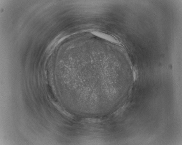 X0000075920339200610151912