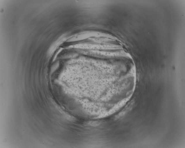 X0000075920341200610151912