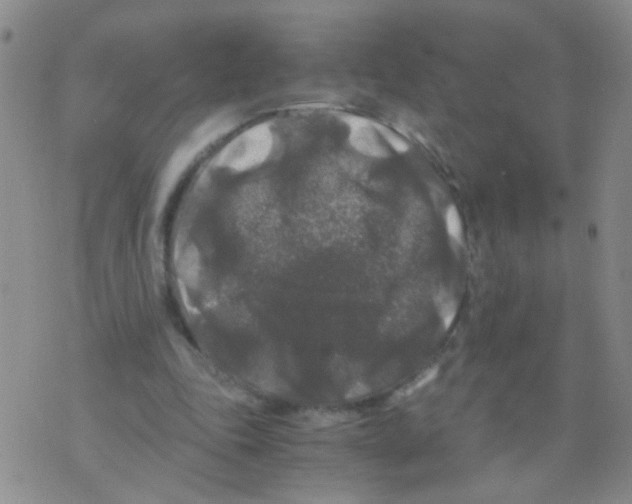 X0000075920343200610151912