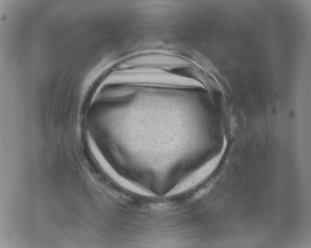 X0000075920344200610151912