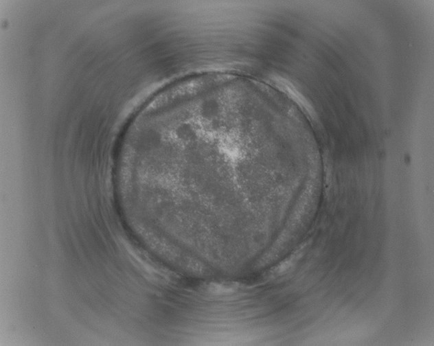 X0000075920346200610151912