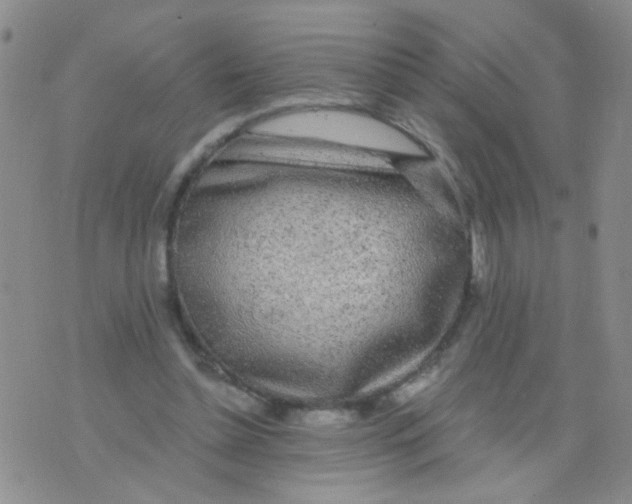 X0000075920348200610151912