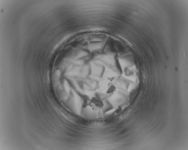 X0000075920350200610151912