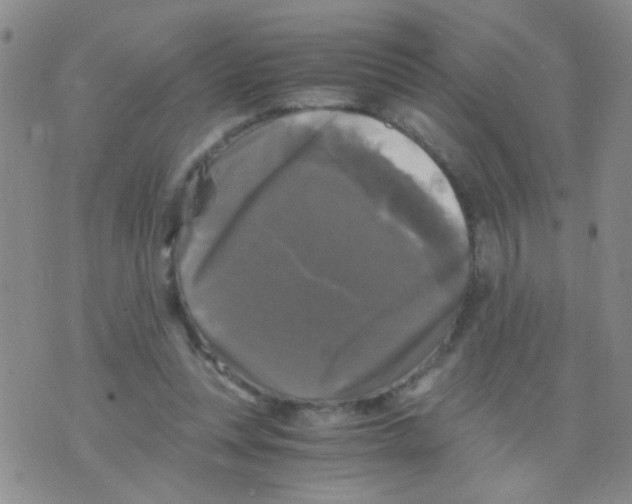 X0000075920351200610151912