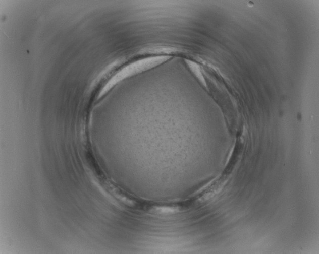 X0000075920352200610151912