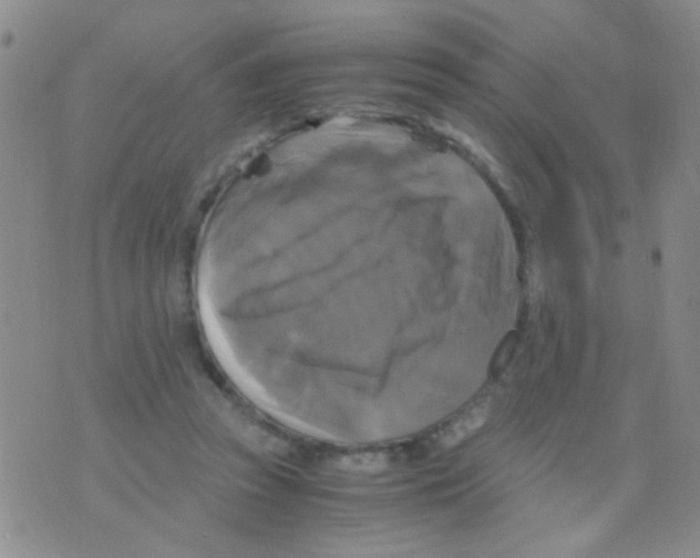 X0000075920353200610151912