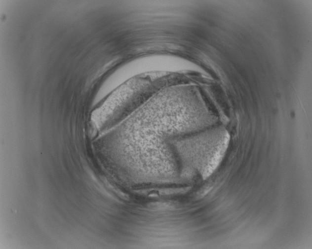 X0000075920356200610151912