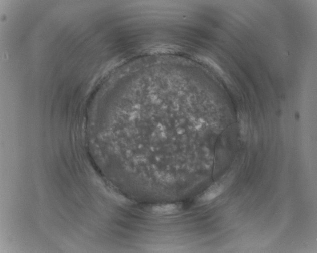 X0000075920357200610151912