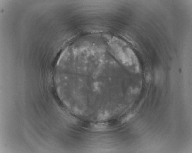 X0000075920359200610151912